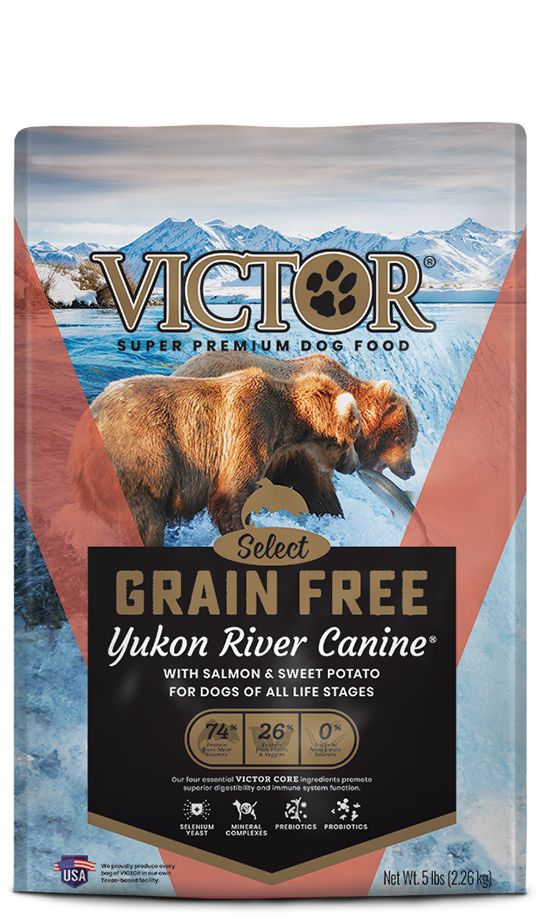 Victor Yukon River Salmon & Sweet Potato Grain-Free Dry Dog Food - PetlyPro