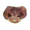 Vital Essentials Pig Snouts Freeze-Dried Treat (1 Piece) - Image 2