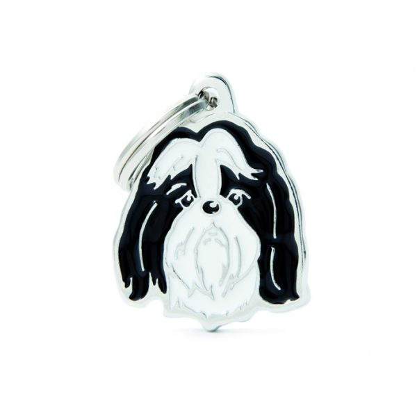 Black and White Shih Tzu