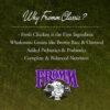 Fromm Classic Puppy Chicken Recipe- Premium Dry Puppy Food for Large, Medium, & Small Breeds with Probiotics- 30lb - Image 3