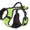 PetSafe EasySport Nylon Reflective Back Clip Dog Harness- Green - Image 2