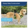 PetSafe EasySport Nylon Reflective Back Clip Dog Harness- Green - Image 4