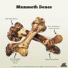 Redbarn Mammoth Bone - Image 3