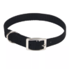 Coastal Dog Collar 12-24in - Image 4