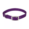 Coastal Dog Collar 12-24in - Image 7