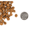 Fromm Indoor Cat Gold Dry Cat Food - Hairball Management Cat Food for Adult Cats - Chicken Recipe - 4 lb - Image 3